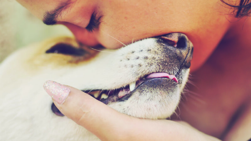 dog owner cuddling their pet