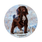 Metal Pet Photo Tribute Disc - Image 2