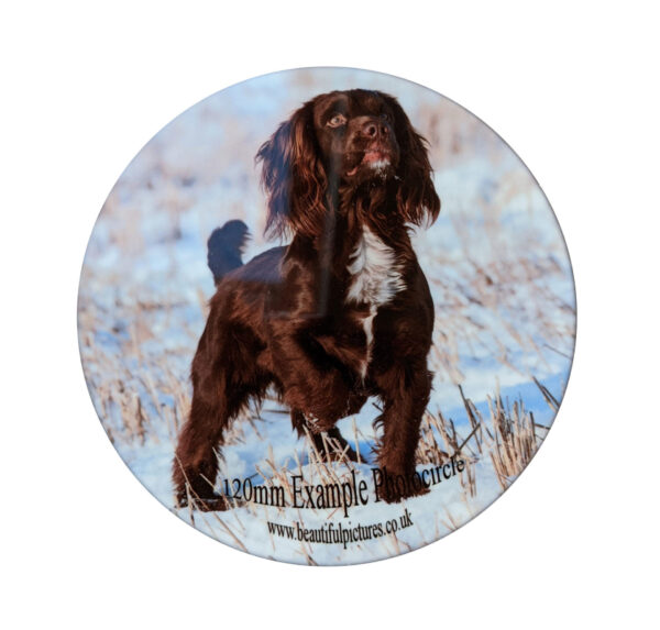 Metal Pet Photo Tribute Disc - Image 2