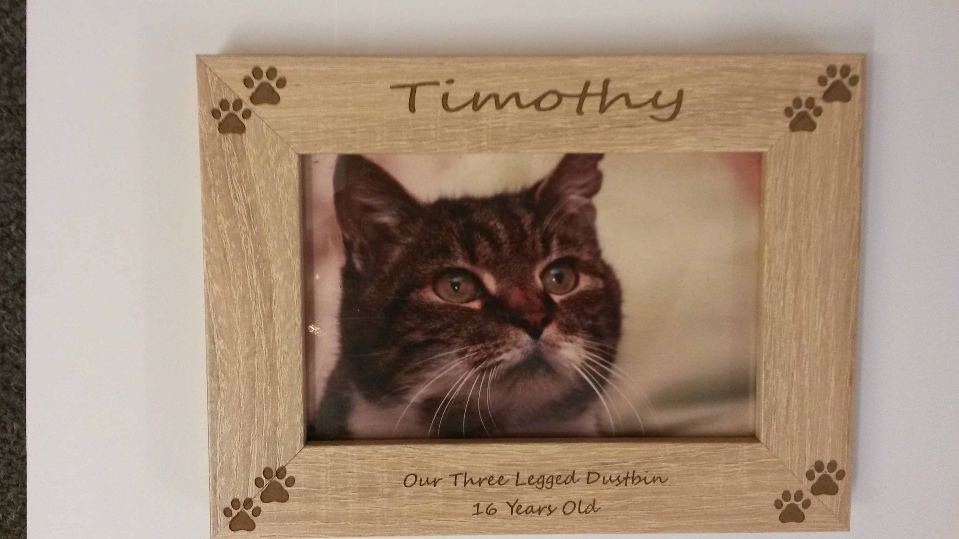 Wooden Paw Print Frame Dignity Pet Crematorium Wooden Paw Print Frame