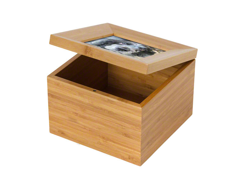 ashes box for pets