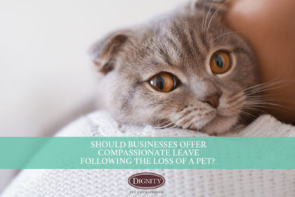 should-businesses-offer-compassionate-leave-pet-loss