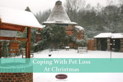 blog-coping-with-pet-loss-christmas