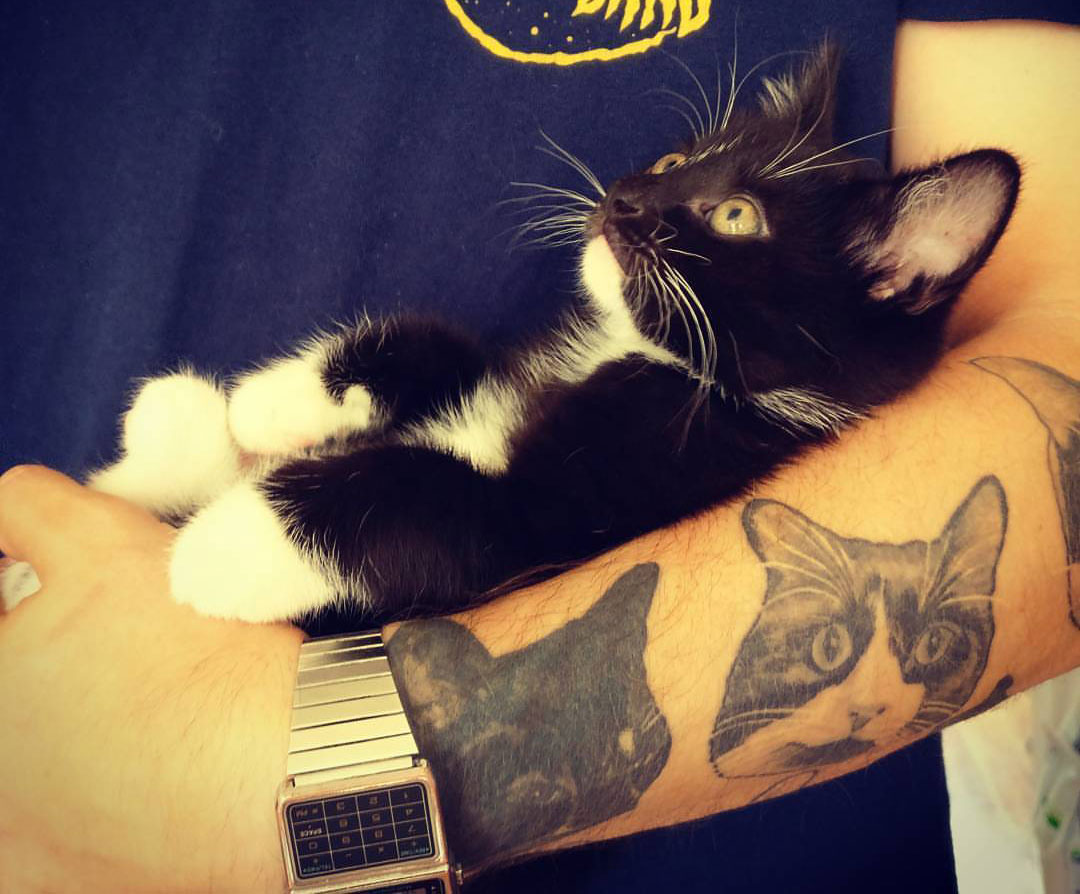 cat-tattoo Pet Memorial Tattoos – Would You Get One?