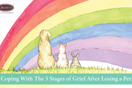 Coping With The 5 Stages of Grief After Losing a Pet