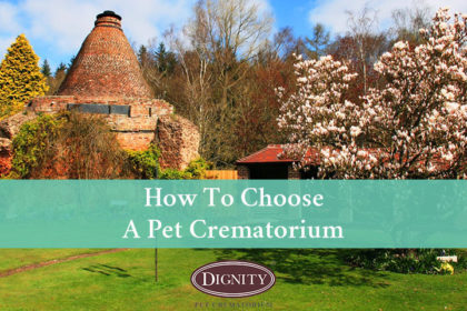 blog-how-to-choose-a-pet-crematorium How to choose a pet crematorium