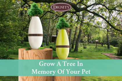 blog-grow-a-tree-in-memory-of-your-pet-1 Pet Memorial Tree