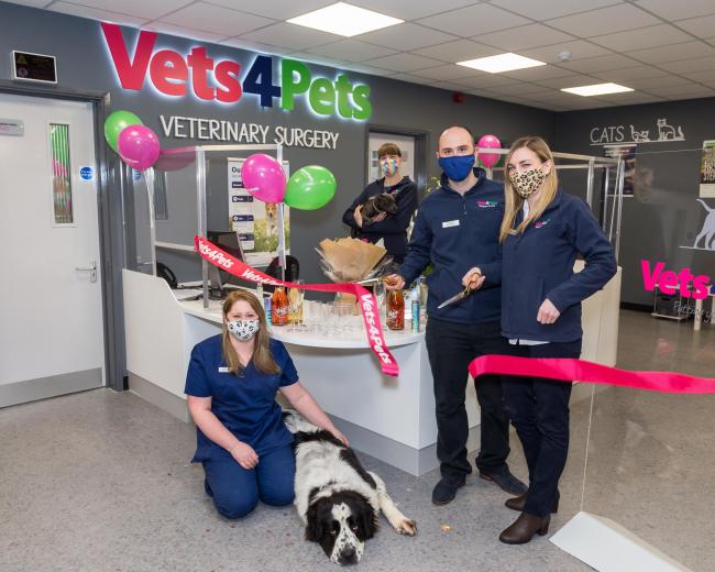 Vets4pets cremation cost 2025