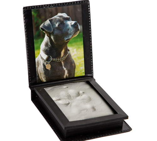 paw print mould display case