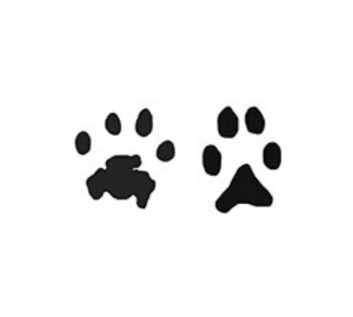 solid inkless paw print