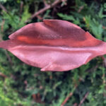 Remembrance Leaf - Image 5