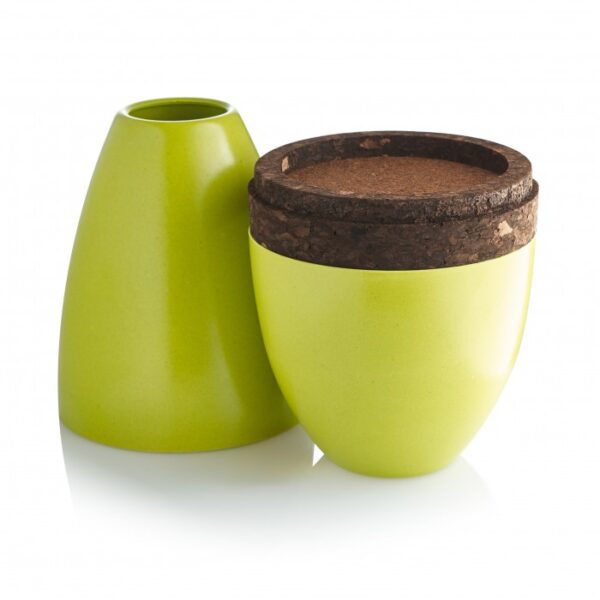 Biotree Urn - Biodegradable Urn That Grows a Tree - Image 2
