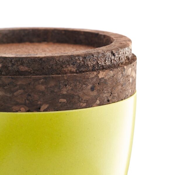Biotree Urn - Biodegradable Urn That Grows a Tree - Image 4