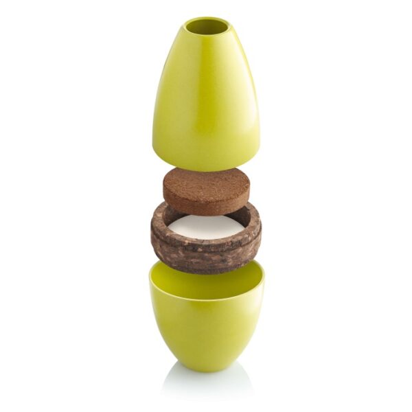 Biotree Urn - Biodegradable Urn That Grows a Tree - Image 5