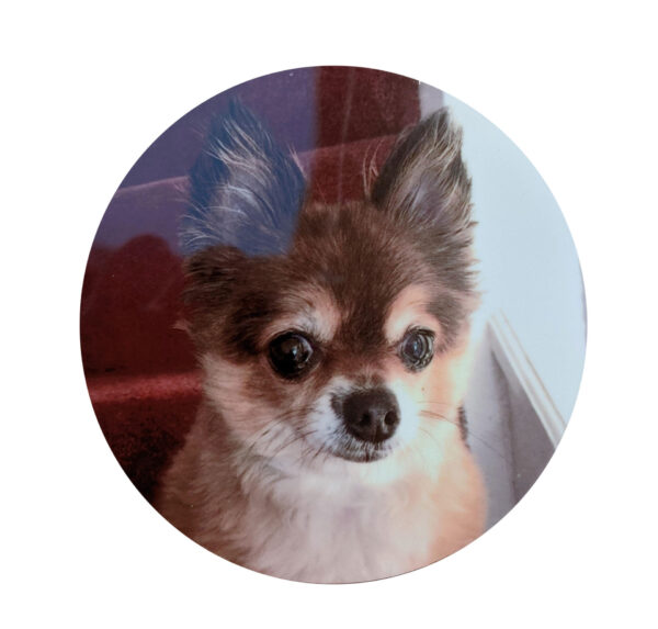 Metal Pet Photo Tribute Disc