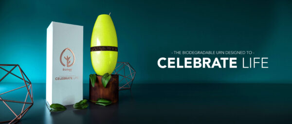 Biotree Urn - Biodegradable Urn That Grows a Tree - Image 14