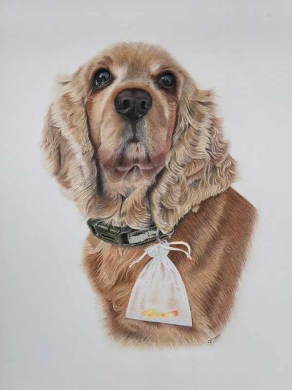 Carol's first pet portrait of a families dog who passed away, Charlie. 