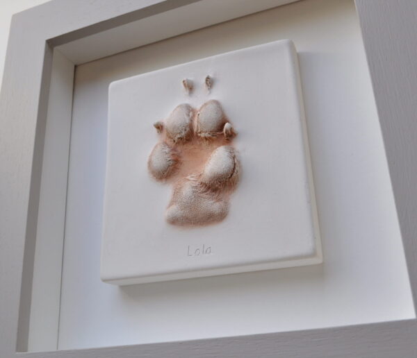 Plaster Paw Impressions - Image 2