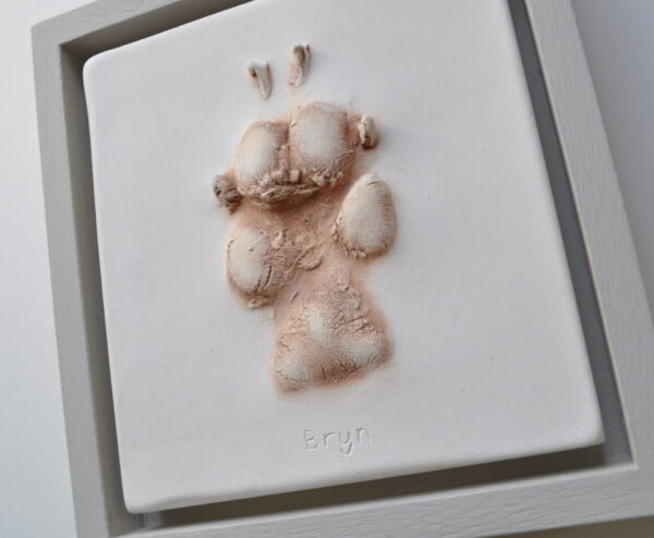 Plaster Paw Impressions - Image 3