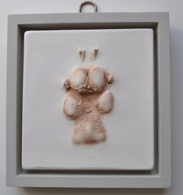 Plaster Paw Impressions - Image 4