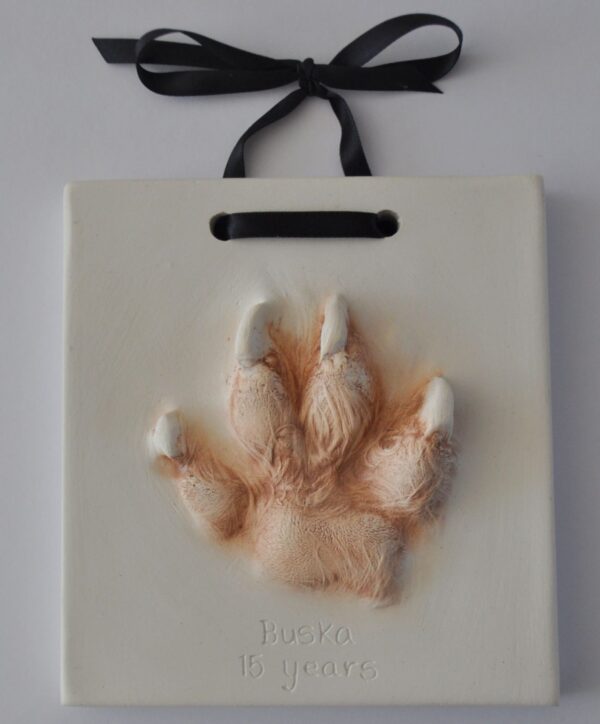 paw print