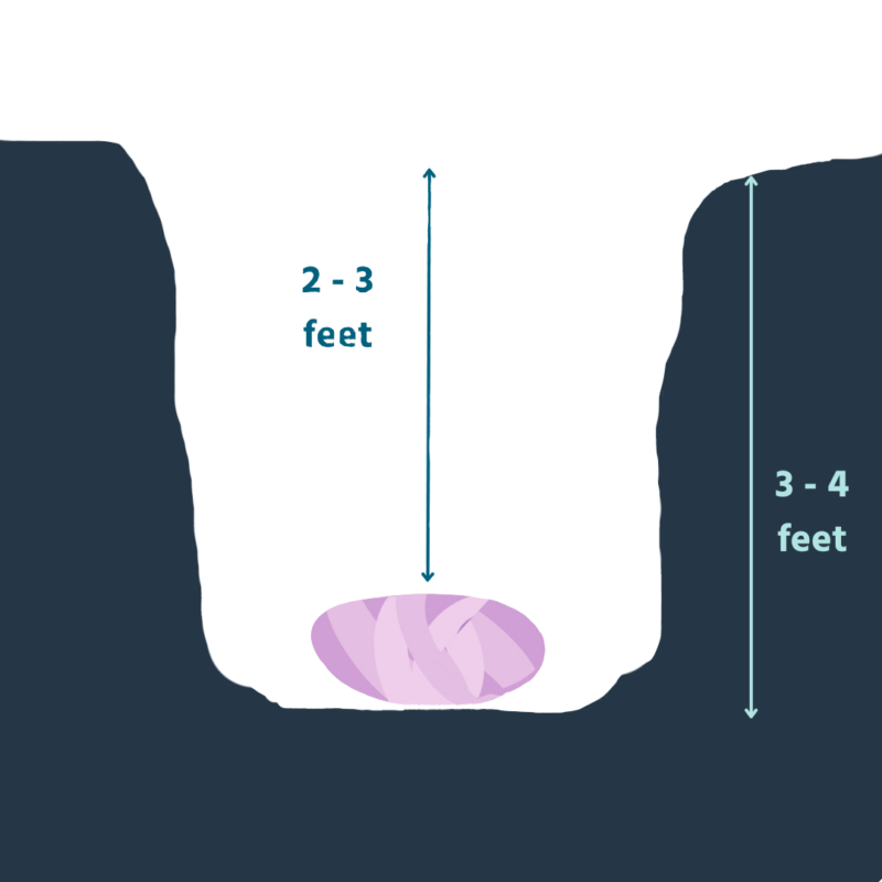 Graphic shows a home pet burial where your pet should be buried in 3 to 4 feet of dirt, with 2 to 3 feet of dirt being placed on top.