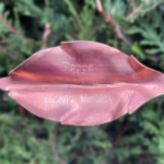Remembrance Leaf - Image 7