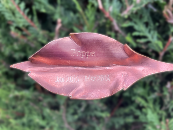 Remembrance Leaf - Image 7