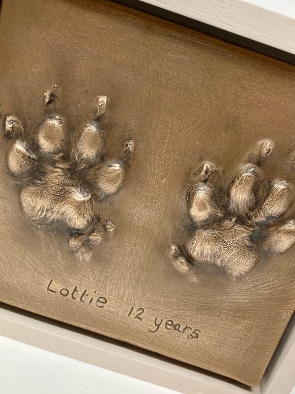 Resin Paw Impressions - Image 4