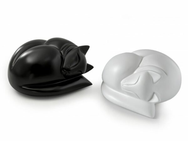 Sleeping Cat Casket - Image 6