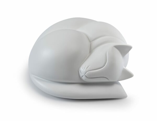 Sleeping Cat Casket - Image 5
