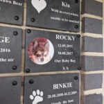 Metal Pet Photo Tribute Disc - Image 3