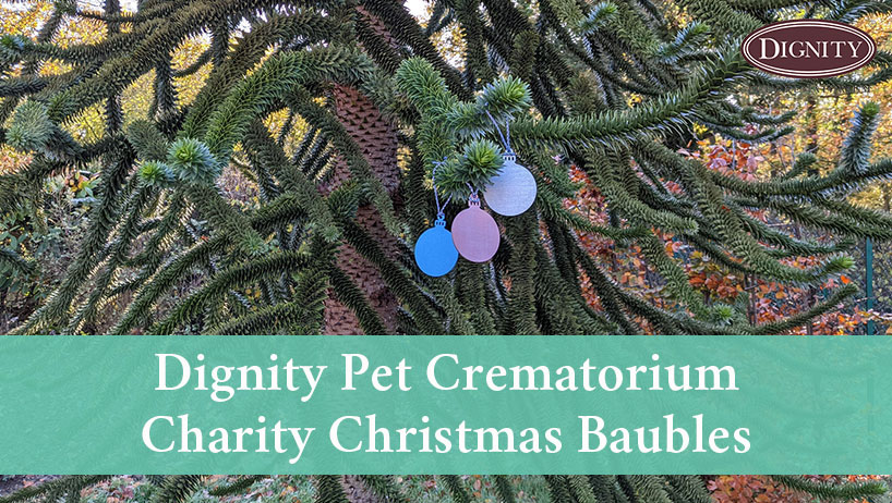Charity Christmas Bauble to raise money for animal charities