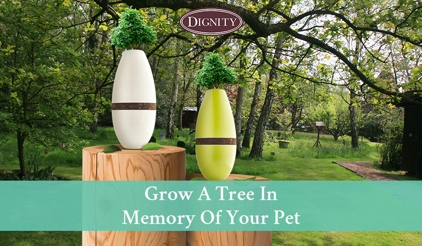 Pet Memorial Tree