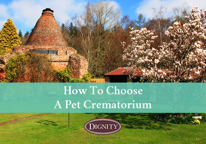 How to choose a pet crematorium