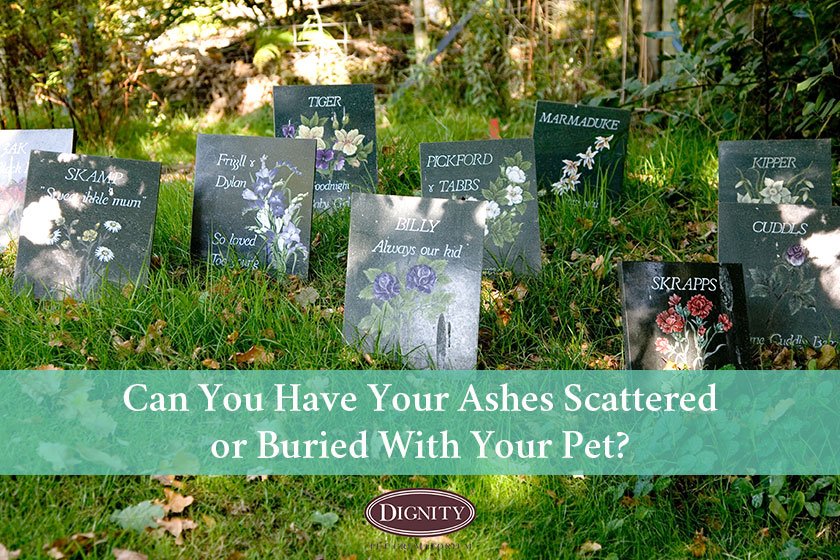 Can I have my ashes buried or scattered with my pet?