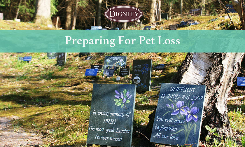 Preparing for Pet Loss
