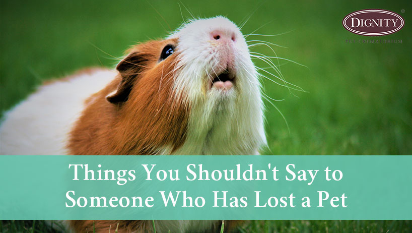 What shouldn't you say to someone who has lost a pet