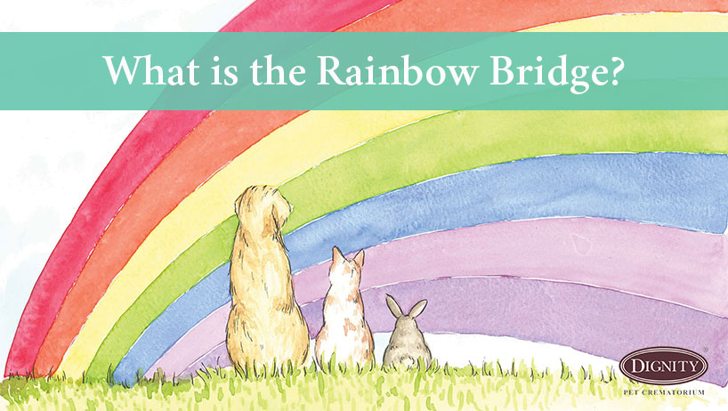 What Is The Rainbow Bridge Dignity Pet Crematorium