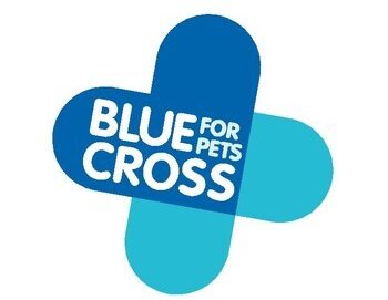 blue cross logo