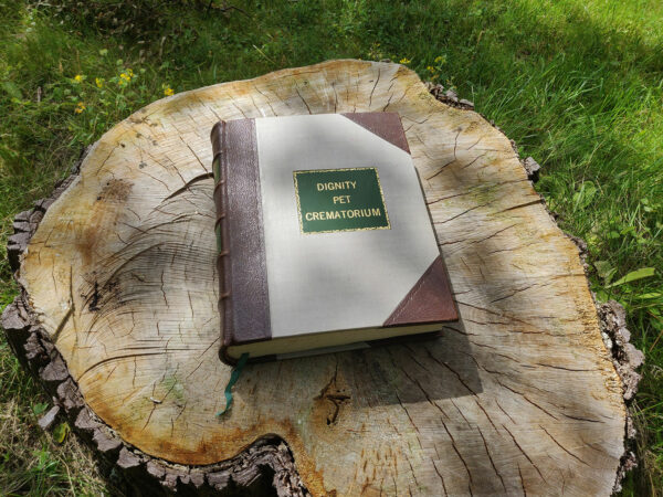 Entry into our Book of Remembrance - Image 2