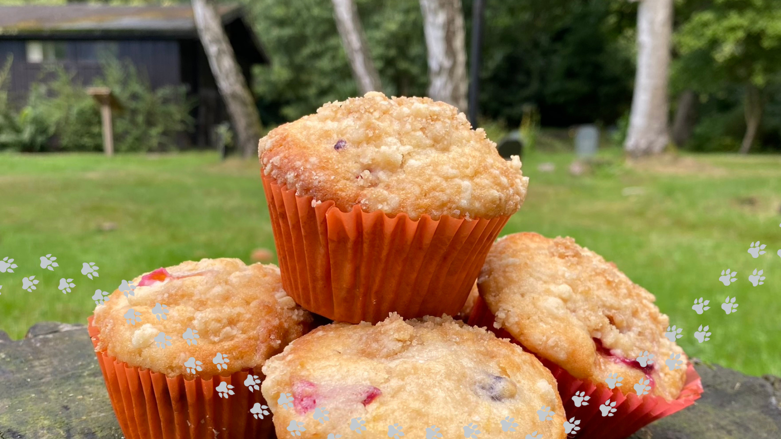 summer muffins feature image
