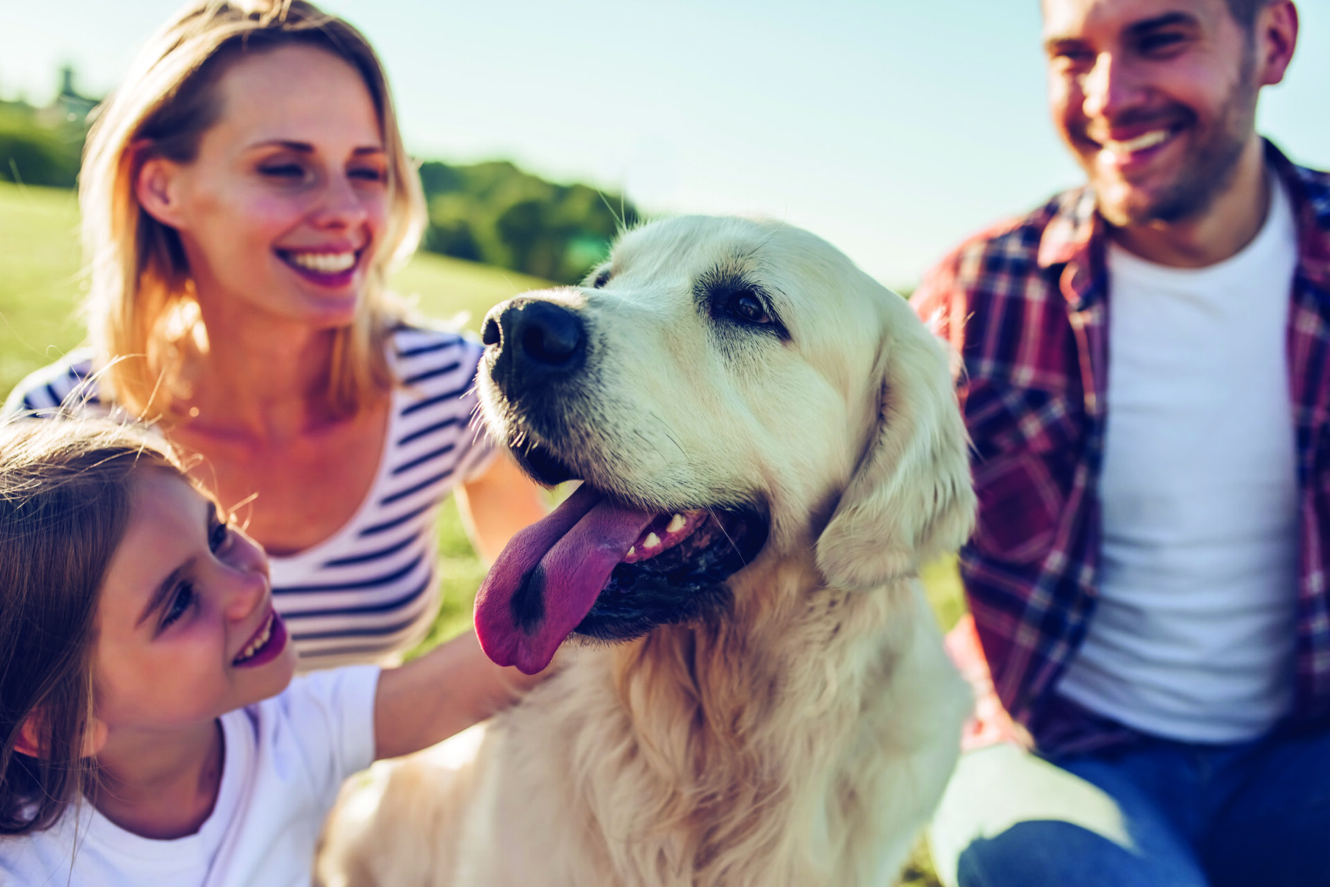 dog looking happy with family members