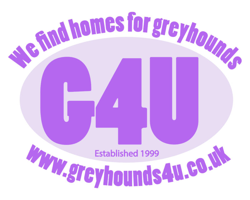 grey hounds for you logo