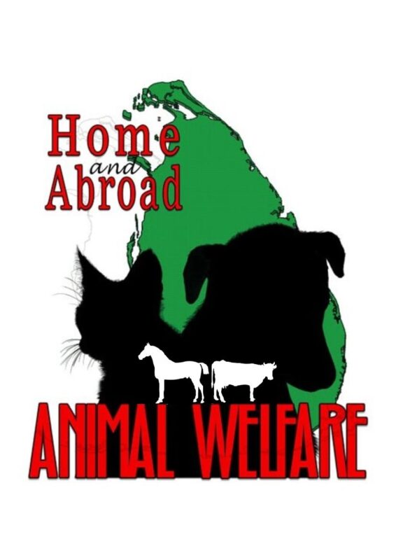 home and abroad animal welfare