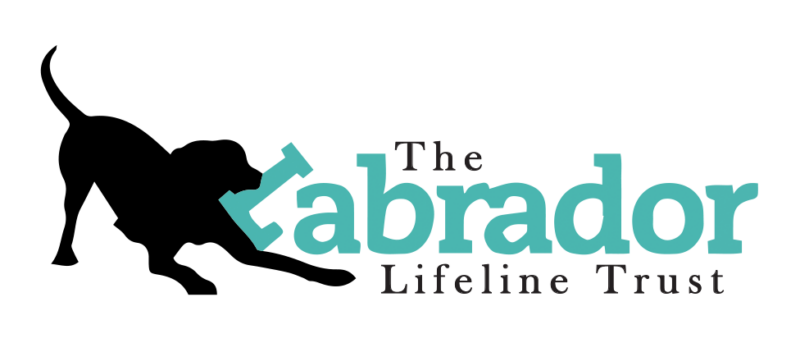 the Labrador lifeline
