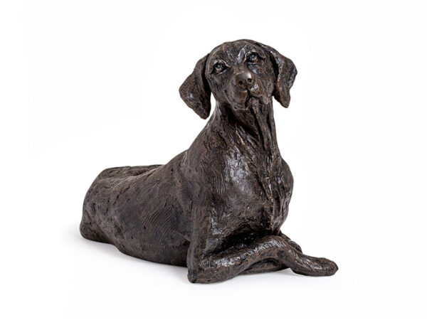 Bronze Effect Dog Breed Caskets - 17 Styles - Image 14