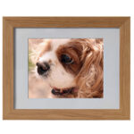 Photo Frame Pet Ashes Casket - Image 2
