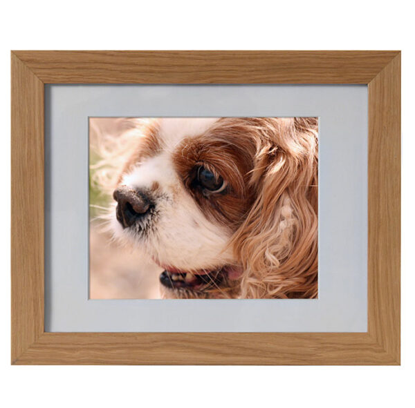 Photo Frame Pet Ashes Casket - Image 2