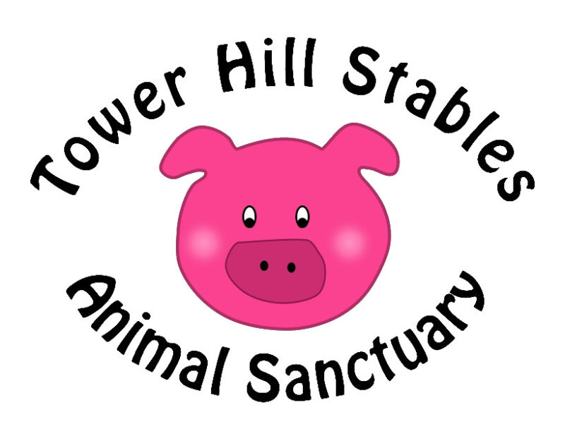 tower hill stables logo